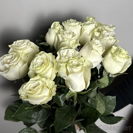 Розы белые, 15 шт - Сүрөт 2