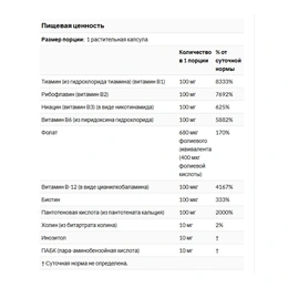 Пищевая добавка NOW B-100 Nervous System Health, 250 капсул - Picture 2