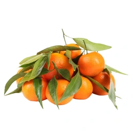 Мандарины мини с листочками, 1 кг - Сүрөт 1
