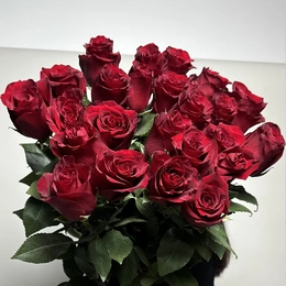 Розы красные, 21 шт - Изображение 2