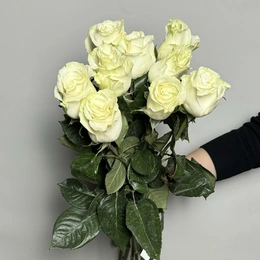 Розы белые, 9 шт - Сүрөт 1