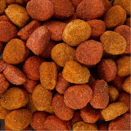 Сухой корм для собак Сытный мясной обед с говядиной по-домашнему Chappi, 600 г - Сүрөт 3