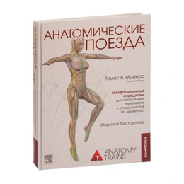 Анатомические поезда. Томас Майерс - Изображение 1