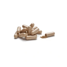 Астрагал Natures Sunshine, Natures Sunshine NSP, 150 капс - Сүрөт 2