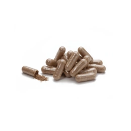 Кордицепс НСП Natures Sunshine, Cordyceps NSP, 90 капсул - Сүрөт 2