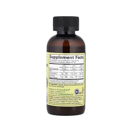 Добавка для детей ChildLife Essentials Liquid Iron, 118 мл - Сүрөт 2