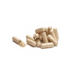 5-Эйч-Ти Пи Пауер НСП Natures Sunshine, 5-HTP-Power NSP, 60 капсул - Сүрөт 2